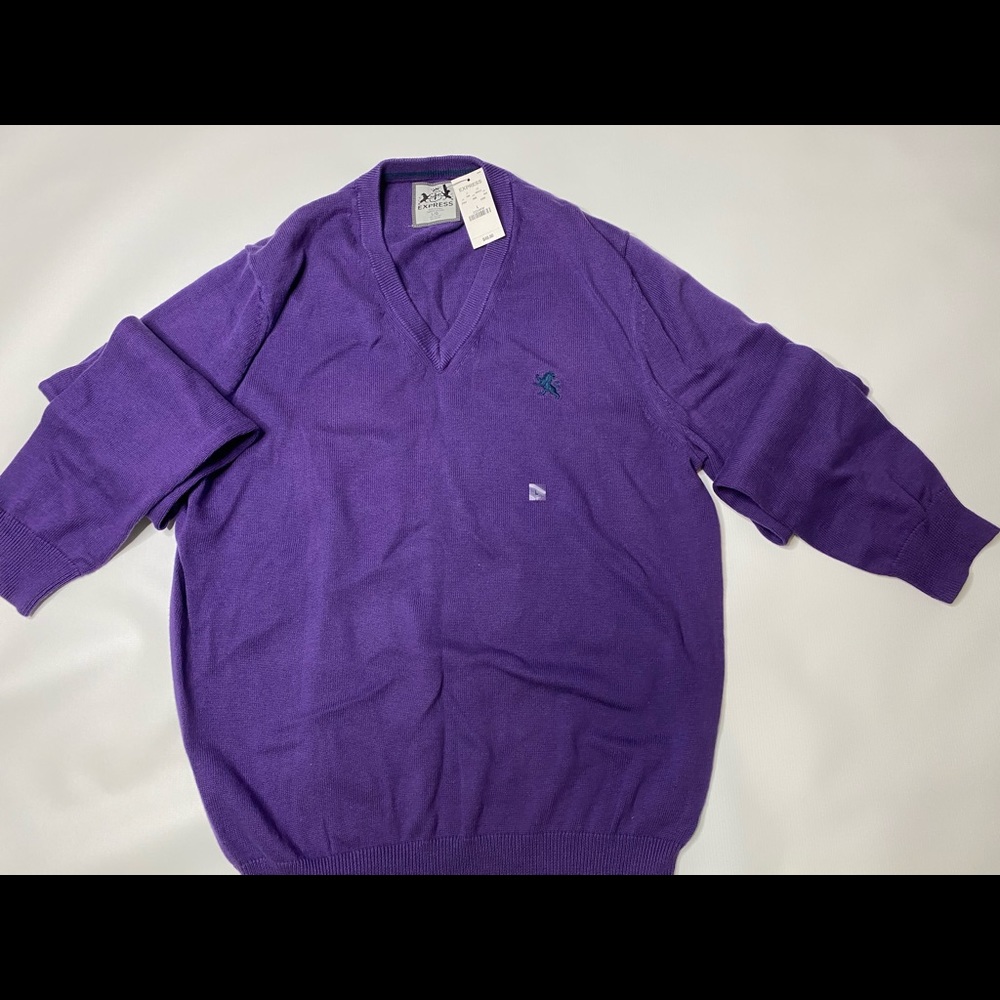 Express V neck sweater purple. Large